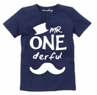 Mr. One-derful
