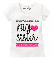 Promoted to big sister