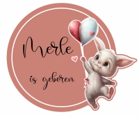 Geboorte sticker | Bunny